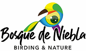 011 Bosque de Niebla Birding