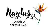 023Naylus Paraiso
