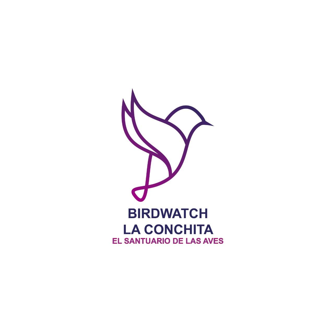 La Conchita Birdwatch